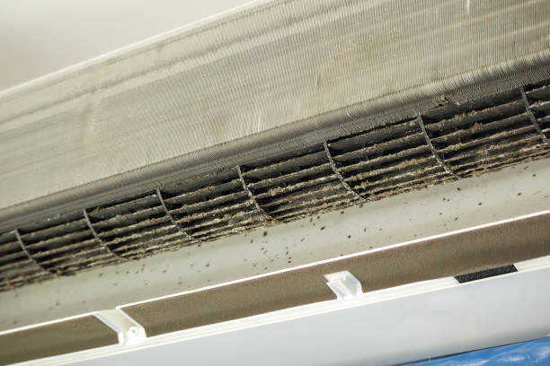 Best HVAC System Cleaning  in Sage, CA